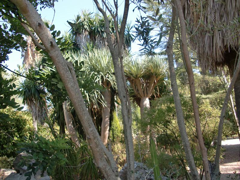 20_CanBregat.JPG