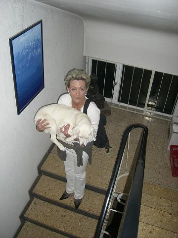 2008_12_24_CIMG3580.JPG - Weihnachten 2008