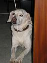 2002_04_08_IMG_0385