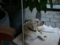 2007_08_12_CIMG7289