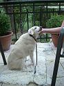 2009_04_10_CIMG7952