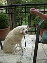 2009_04_10_CIMG7955