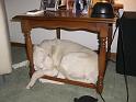 2009_05_09_CIMG8376