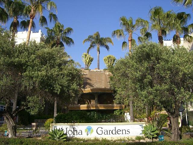 Aloha001.JPG