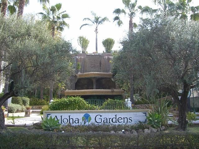 Aloha015.JPG