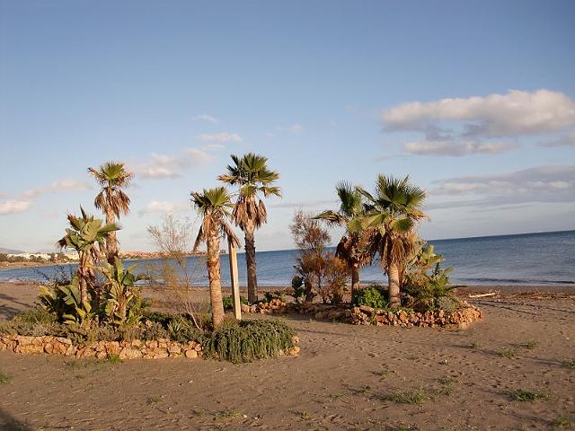 Aloha024.JPG
