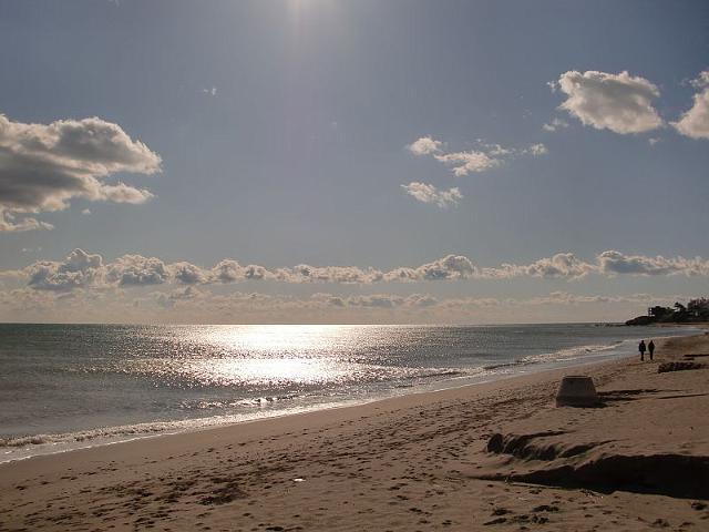 Aloha033.JPG