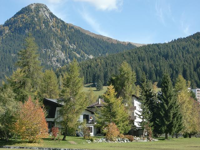 CIMG3341.JPG