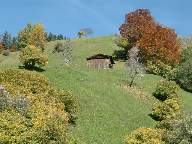 CIMG3374.JPG