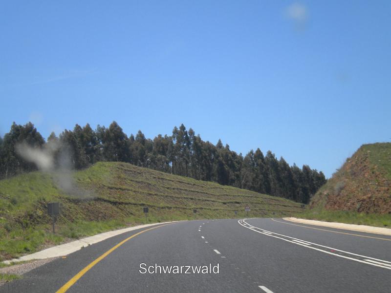 DSCN2113-schwarzwald.JPG