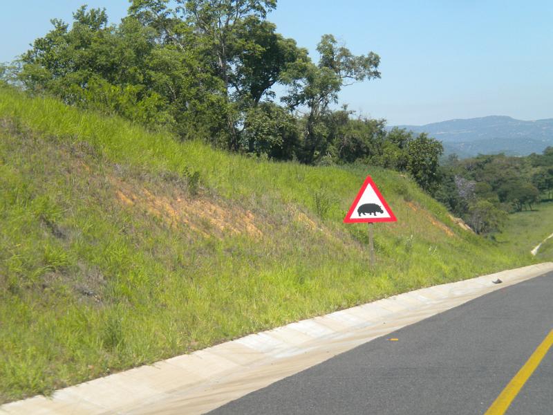 DSCN2132.JPG