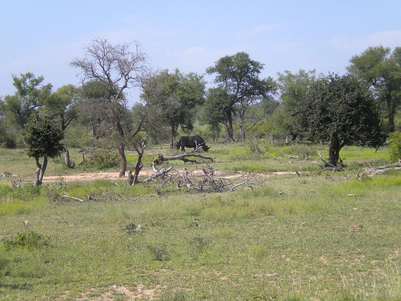 DSCN2165.JPG