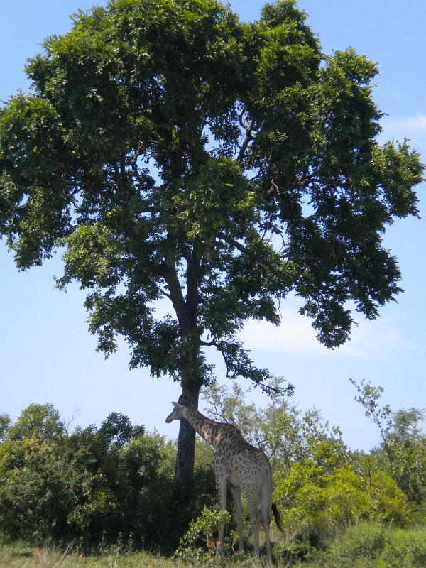 DSCN2193.JPG