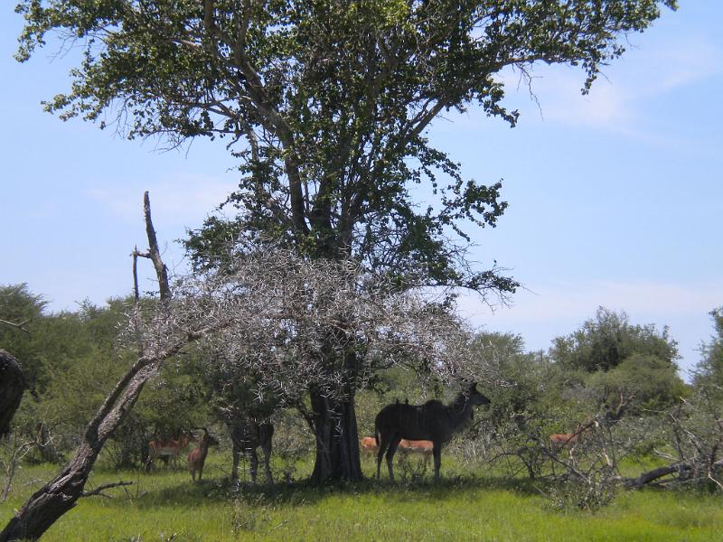 DSCN2219.JPG