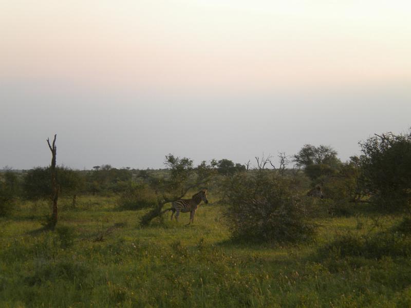 DSCN2333.JPG
