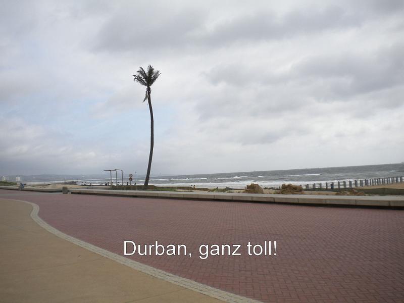 DSCN2410.JPG