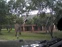DSCN2358
