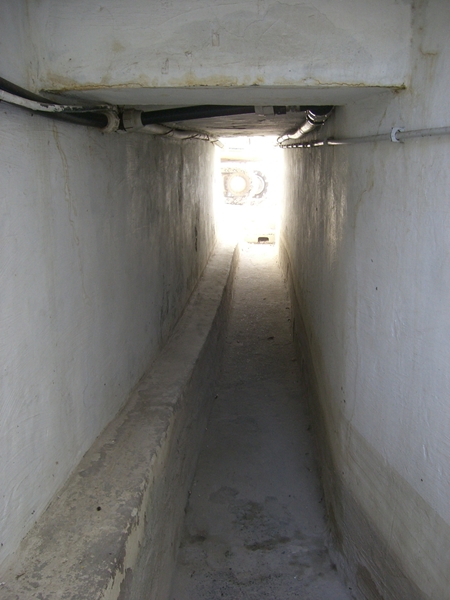CIMG8595.JPG