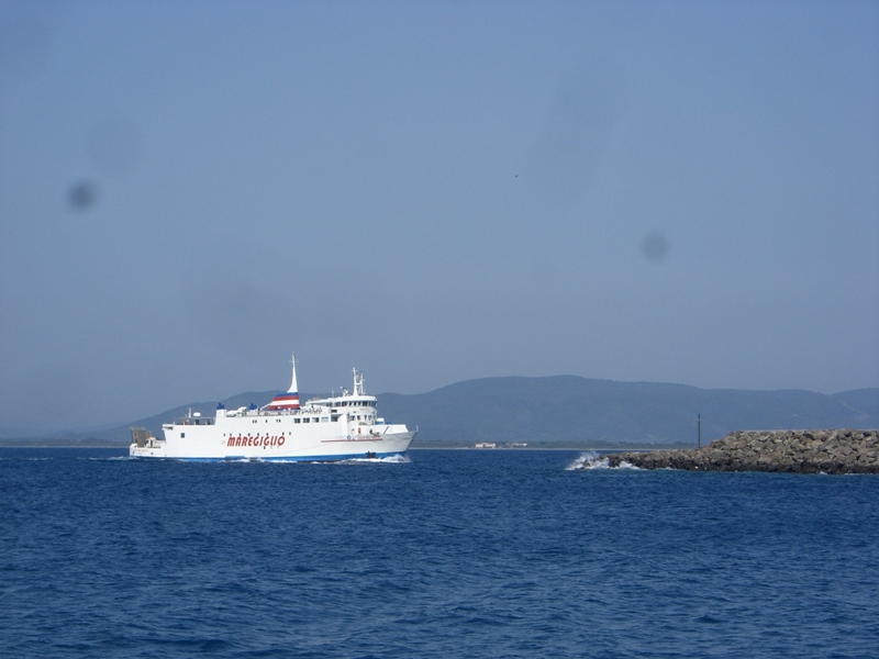 CIMG8802.JPG