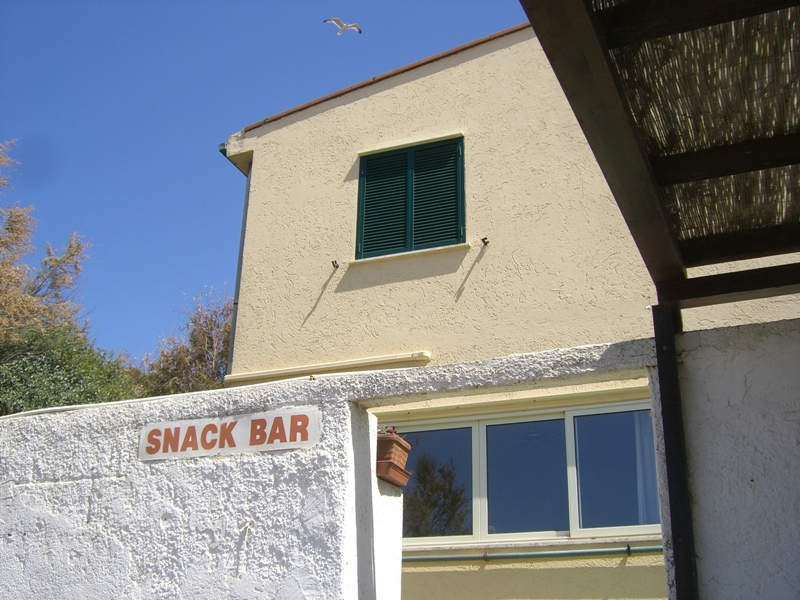 CIMG8815.JPG