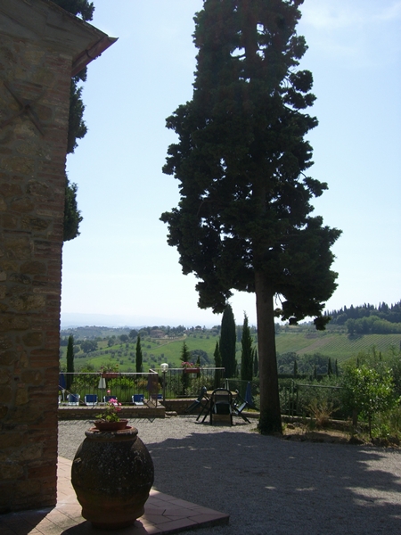 CIMG8897.JPG