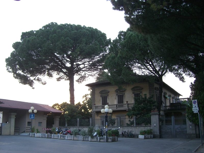 CIMG8921.JPG