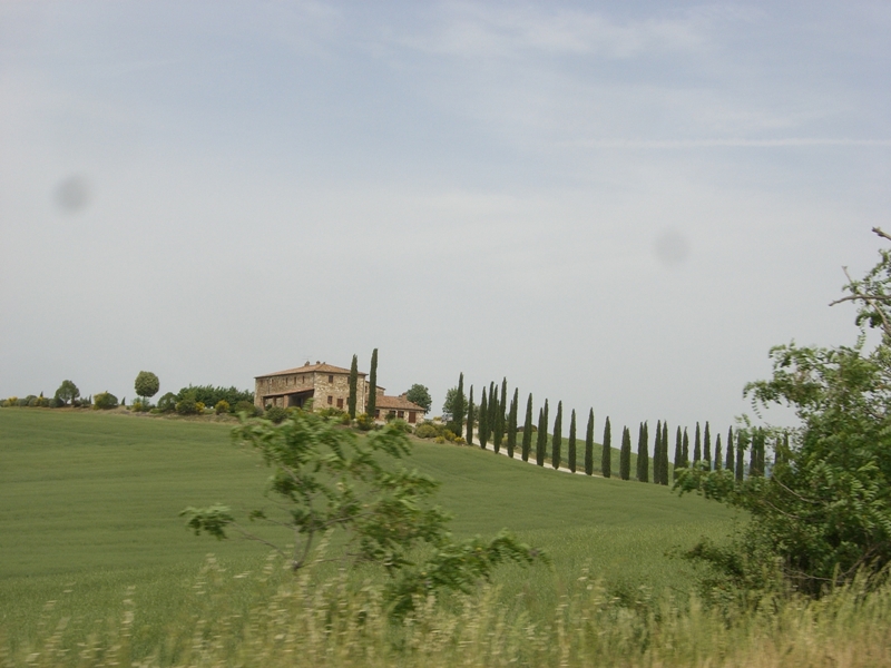 CIMG8943.JPG